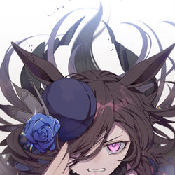 This is a pixiv picture whose title is ライスシャワー.