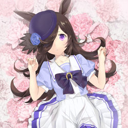 This is a pixiv picture whose title is ライスシャワー.