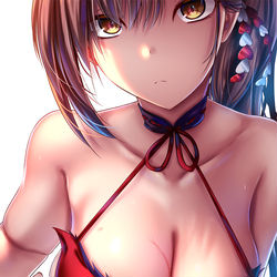 This is a pixiv picture whose title is 瑞鶴.