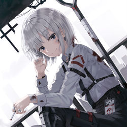 This is a pixiv picture whose title is Apocalypse.