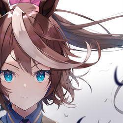 This is a pixiv picture whose title is トウカイテイオー.