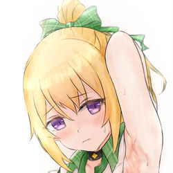 This is a pixiv picture whose title is 腋.
