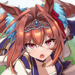 This is a pixiv picture whose title is ダイワスカーレット.