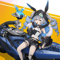 This is a pixiv picture whose title is Brownie！！.