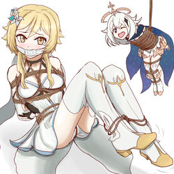This is a pixiv picture whose title is Lumine & Paimon.