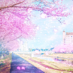 This is a pixiv picture whose title is 春を想えば.