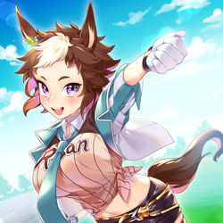 This is a pixiv picture whose title is メジロライアン.