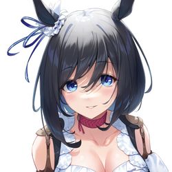 This is a pixiv picture whose title is エイシンフラッシュ.