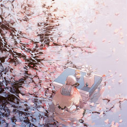 This is a pixiv picture whose title is 桜.