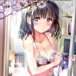 This is a pixiv picture whose title is 【新刊案内】隣の家×転校生×ランジェリー.