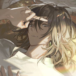 This is a pixiv picture whose title is ハウル.