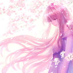 This is a pixiv picture whose title is 陽風.
