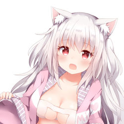 This is a pixiv picture whose title is ねこぶら.