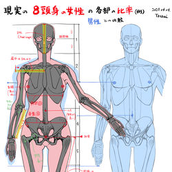This is a pixiv picture whose title is 8頭身の女性の身体比率（男女の比較）.
