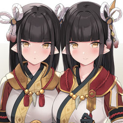 This is a pixiv picture whose title is Rise.