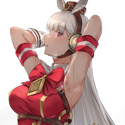 This is a pixiv picture whose title is ゴールドシップ.