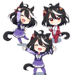 This is a pixiv picture whose title is キタサンブラック.
