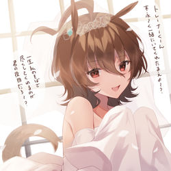 This is a pixiv picture whose title is 嫁タキオンさん.