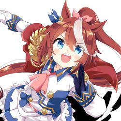 This is a pixiv picture whose title is トウカイテイオー！！.