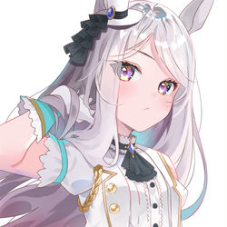 This is a pixiv picture whose title is メジロマックイーン.