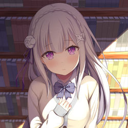 This is a pixiv picture whose title is エミリアと放課後の図書室.