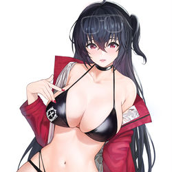 This is a pixiv picture whose title is 大鳳.