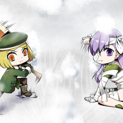 This is a pixiv picture whose title is 合体宝具.