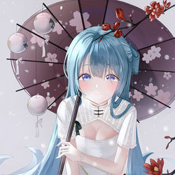 This is a pixiv picture whose title is 韶华.