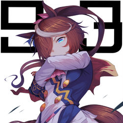 This is a pixiv picture whose title is トウカイテイオー.