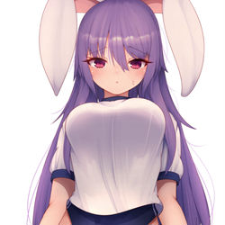 This is a pixiv picture whose title is ブルマうどんげ.