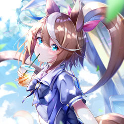 This is a pixiv picture whose title is はちみートウカイテイオー.