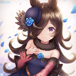 This is a pixiv picture whose title is ライスシャワー.