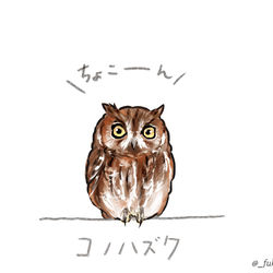 This is a pixiv picture whose title is 「フクロウのせのじゅん」.