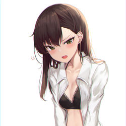 This is a pixiv picture whose title is 女の子.