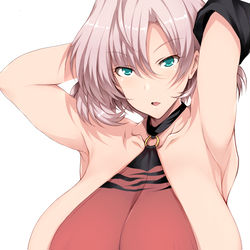 This is a pixiv picture whose title is ちせちゃんの服を着たムジナさん.