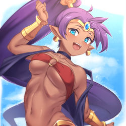 This is a pixiv picture whose title is シャンティ.