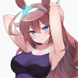 This is a pixiv picture whose title is ミホノブルボン.