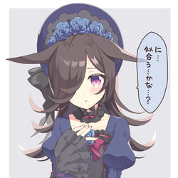 This is a pixiv picture whose title is ロリィタ衣装なライスちゃん.