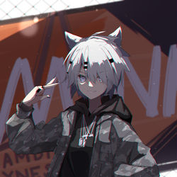 This is a pixiv picture whose title is ラップランド.