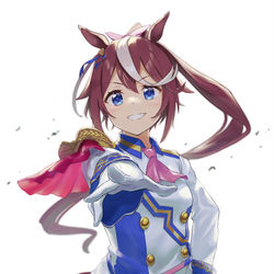 This is a pixiv picture whose title is トウカイテイオー.