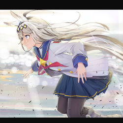 This is a pixiv picture whose title is オグリキャップ.