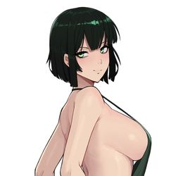 This is a pixiv picture whose title is fubuki.