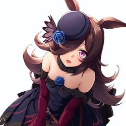 This is a pixiv picture whose title is ライスシャワー.