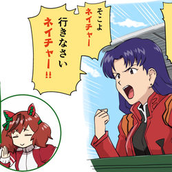 This is a pixiv picture whose title is エバー.