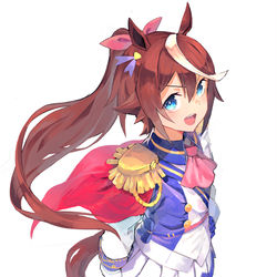 This is a pixiv picture whose title is トウカイテイオー.