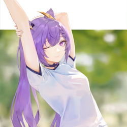 This is a pixiv picture whose title is 刻晴.