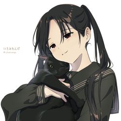 This is a pixiv picture whose title is 黒猫と黒セーラー少女🐈.
