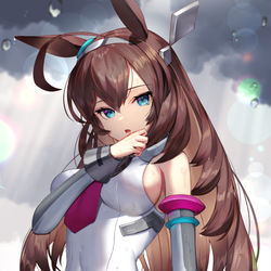 This is a pixiv picture whose title is ミホノブルボン.