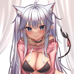 This is a pixiv picture whose title is Neko Veibae.