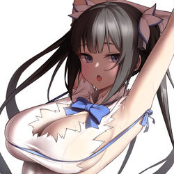 This is a pixiv picture whose title is ヘスティア.